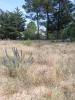 Vente Terrain Saint-jean-de-monts  85160 597 m2