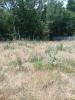 Vente Terrain Saint-jean-de-monts 85160 913 m2