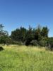 Vente Terrain Pessac  33600 450 m2