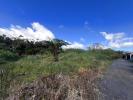 Vente Terrain Plaine-des-palmistes 97431 469 m2