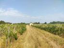 Vente Terrain Sainte-eulalie  33560 31300 m2