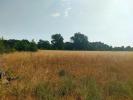 Vente Terrain Sainte-eulalie  33560 32767 m2