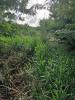 Vente Terrain Vauclin  97280 1820 m2