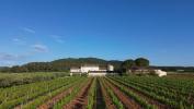 Vente Prestige Cuers  83390 10 pieces 600 m2