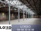 Vente Local commercial Oloron-sainte-marie  64400 2100 m2