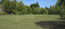 Vente Terrain Marseillette 11800 1430 m2