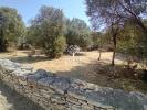 Vente Terrain Bonifacio  20169 1848 m2