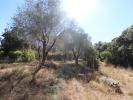 Vente Terrain Boisseron  34160 564 m2