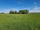 Vente Terrain Langon  33210 582 m2