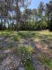 Vente Terrain Saint-aubin-de-medoc  33160 555 m2