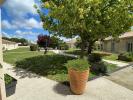 Vente Appartement Saint-palais-sur-mer  17420 23 m2