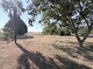 Vente Terrain Saint-lys  31470 1000 m2