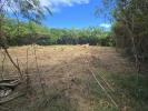 Vente Terrain Vauclin  97280 1299 m2
