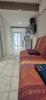 Location Appartement Perpignan  66000 22 m2