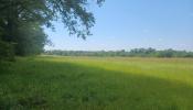 Vente Terrain Eguzon-chantome  36270 27555 m2