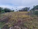 Vente Terrain Case-pilote  97222 1000 m2