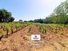 Vente Appartement Beausset  83330 3 pieces 60 m2