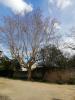 Vente Terrain Beausset  83330 618 m2