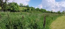 Vente Terrain Pouilly-en-auxois 21320 1202 m2