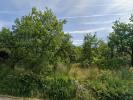 Vente Terrain Grignan  26230 740 m2