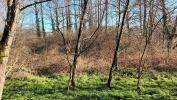 Vente Terrain Villandraut  33730