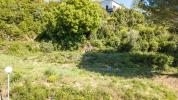 Vente Terrain Lodeve  34700 808 m2