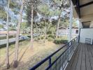 Location Appartement Gujan-mestras 33470 3 pieces 60 m2