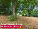 Vente Terrain Treignac  19260 3806 m2