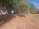 Vente Terrain Vidauban  83550 600 m2