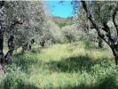 Vente Terrain Peyruis  04310 2000 m2