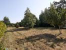 Vente Terrain Telgruc-sur-mer 29560