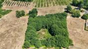 Vente Terrain Prats-de-carlux 24370 4636 m2