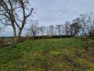 Vente Terrain Chapelle-saint-martin-en-plaine  41500 1500 m2