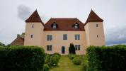 Vente Prestige Saint-martin-en-bresse  71620 15 pieces 522 m2