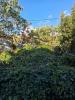 Vente Terrain Saint-pierre  97410 400 m2