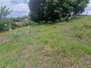 Vente Terrain Francois  97240 530 m2