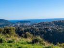 Vente Terrain Falicon  06950 594 m2