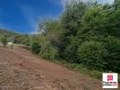 Vente Terrain Champagney  70290 2312 m2