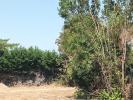 Vente Terrain Nieul-sur-mer  17137 1261 m2