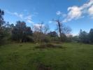 Vente Terrain Quenza 20122 3000 m2