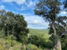 Vente Terrain Taillet  66400 996 m2