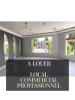 Location Commerce Saint-genies-bellevue 31180 117 m2