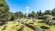 Vente Terrain Brue-auriac  83119 2063 m2