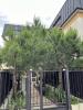Vente Appartement Neuilly-plaisance CENTRE VILLE 93360 2 pieces 41 m2