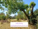 Vente Terrain Nivillac  56130 665 m2