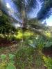 Vente Terrain Sainte-marie  97230 675 m2