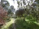 Vente Terrain Rochefort-du-gard  30650 500 m2