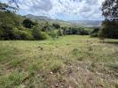Vente Terrain Vauclin  97280 7500 m2