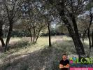 Vente Terrain Sussargues  34160 564 m2