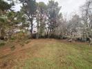 Vente Terrain Bonnetan  33370 745 m2